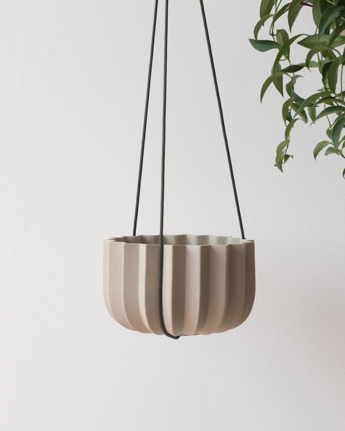 Wrap Hanging Kit – live plant – photo 3