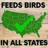 Pollinator & Wild Bird Seed Thick Bee Lawn Blend