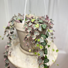 Variegated String of Hearts