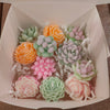 Assorted Small Flower & Succulent Candles - Handmade