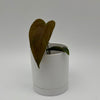 Anthurium Queen of Hearts