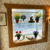 Garden Window – live plant – photo 13