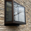 Garden Window – live plant – photo 12