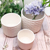Webbing Planters
