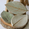 Large Leaf Dish