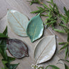Small Leaf Dish