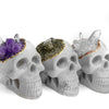 Pyrite Skull Head