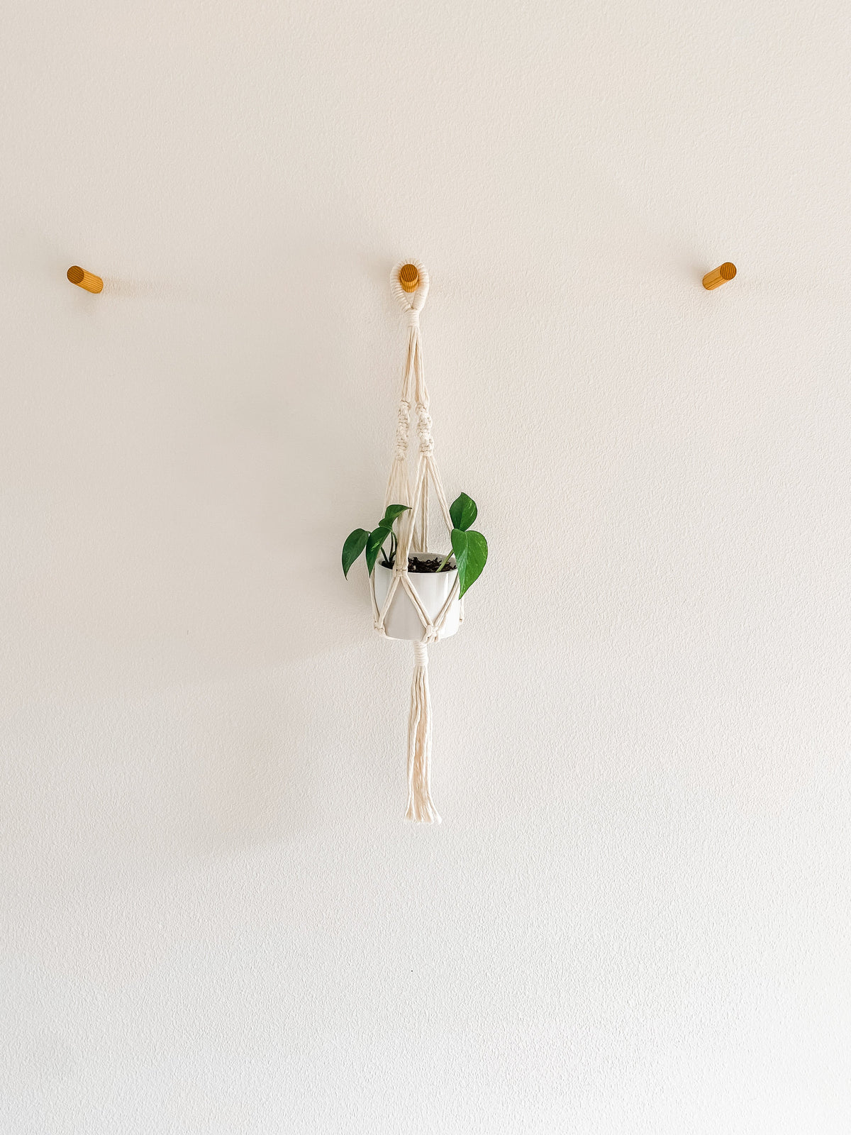 Macrame Hanging Planter – photo 4