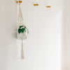 Macrame Hanging Planter