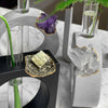 PYRITE PROPAGATION STATION