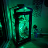 Indoor/Outdoor Garden Cabinet