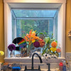 Garden Window