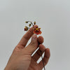 Mini Orchid Tolumnia Jairak - Mystery Color