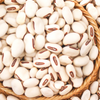 Jackbean (Canavalia ensiformis)
