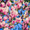 Jane Magnolia