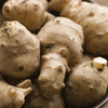 Jerusalem Artichoke (Helianthus tubersosus)