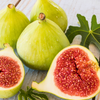Fig 'Kadota' (Ficus carica)