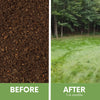 Simple Lawn Fine Fescue Grass Seed – photo 3