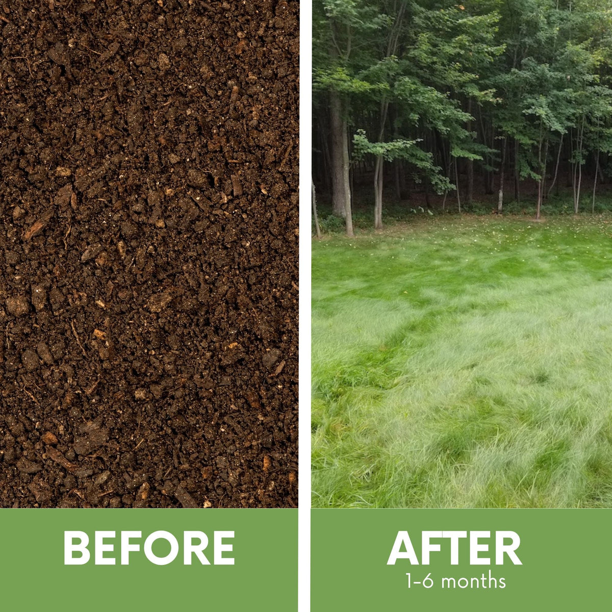 Simple Lawn Fine Fescue Grass Seed – photo 3