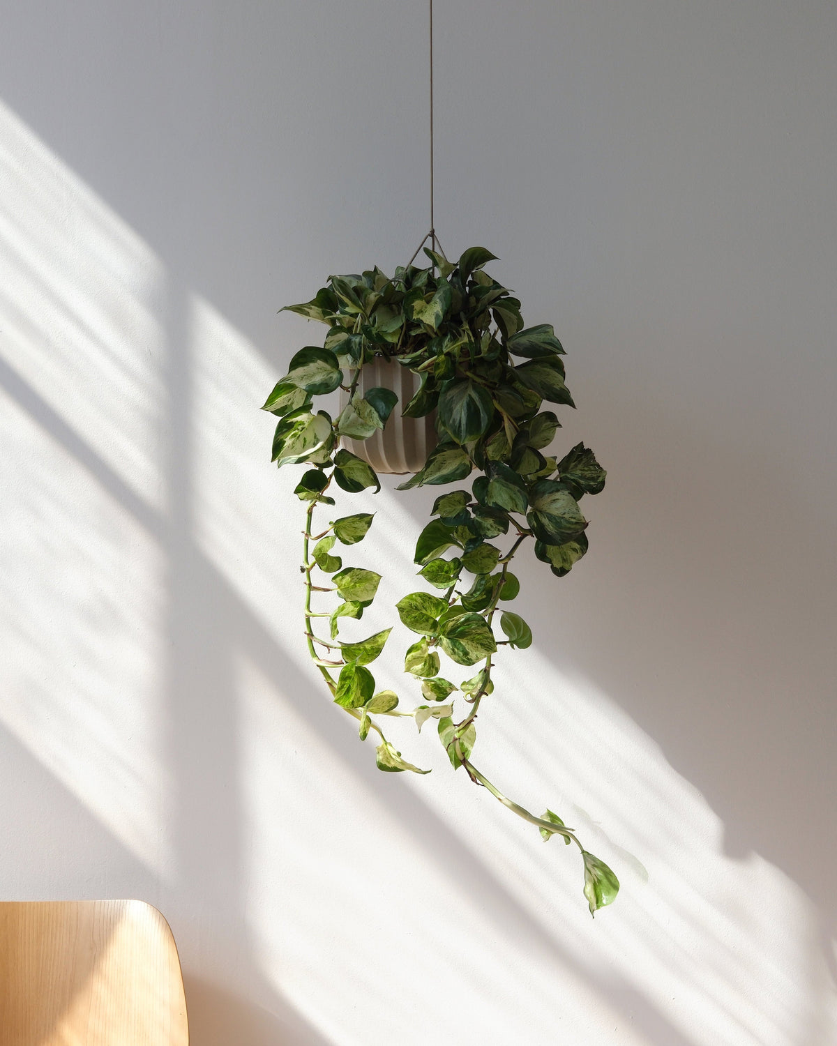 Wrap Hanging Kit