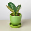 Liberty Bell Planter