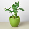 Liberty Bell Planter
