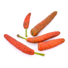 Long Pepper (Piper longum)