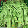 30 YARD LONG BEAN Asparagus Bean Cowpea Phaseolus Vulgaris Vegetable Seeds