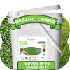 Micro Clover Seed