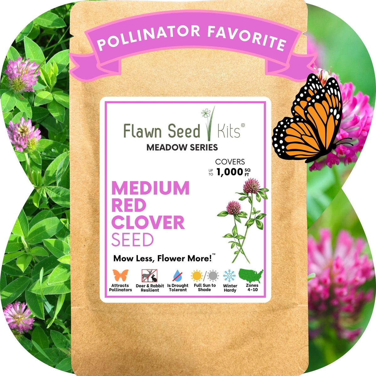 Medium Red Clover Seed – photo 12