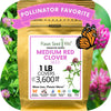 Medium Red Clover Seed – photo 14