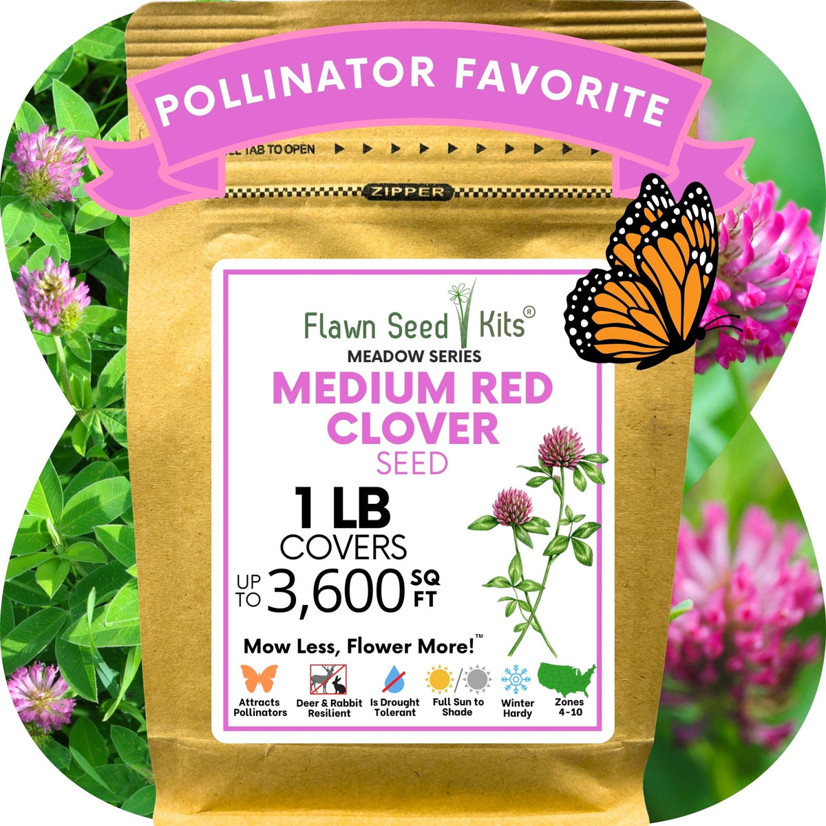 Medium Red Clover Seed – photo 14