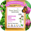 Medium Red Clover Seed – photo 13
