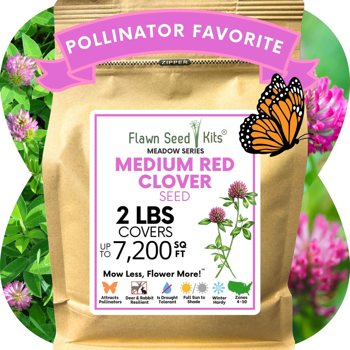 Medium Red Clover Seed – photo 15