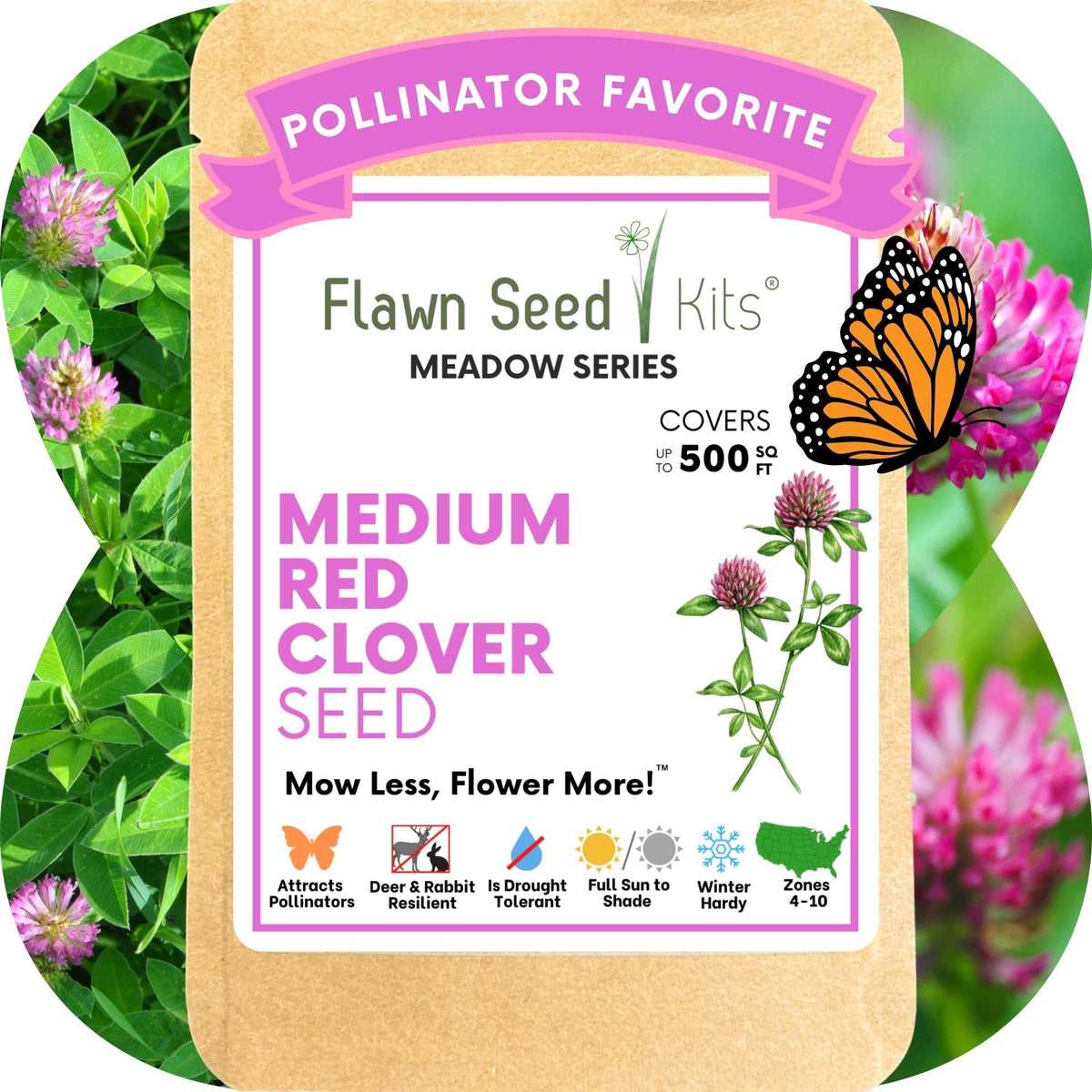 Medium Red Clover Seed – photo 11
