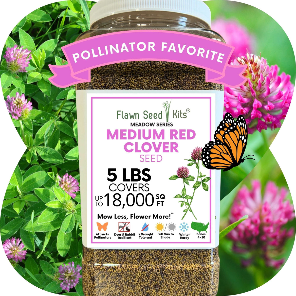Medium Red Clover Seed – photo 16