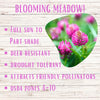 Medium Red Clover Seed – photo 4