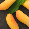 Mango 'Mahachanok' (Mangifera indica)