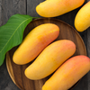 Mango 'Mahachanok' (Mangifera indica)