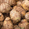 Malanga (Xanthosoma sagittifolium)