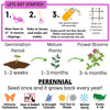 Medium Red Clover Seed – photo 6