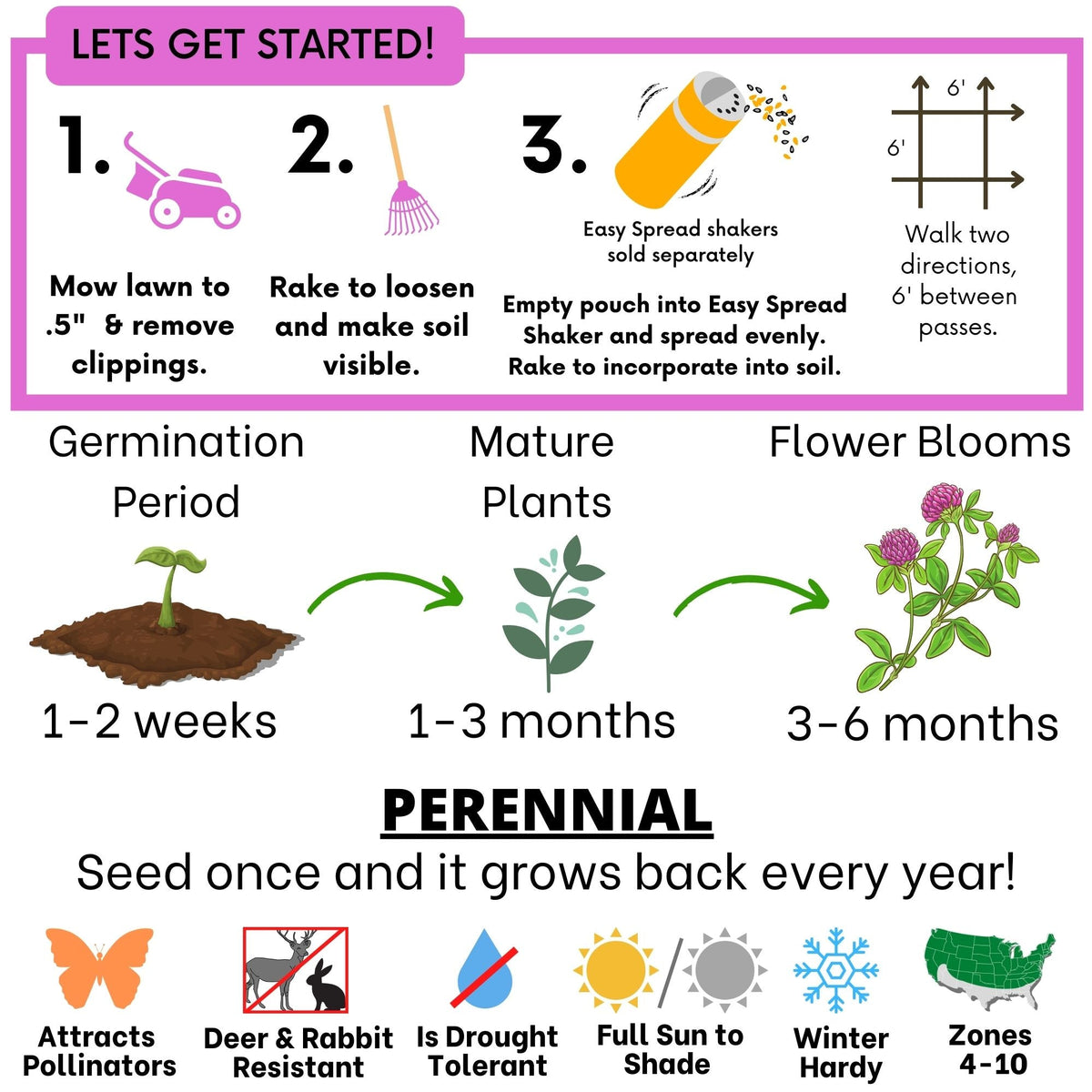 Medium Red Clover Seed – photo 6
