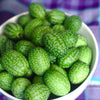 10 CUCAMELON Melothria Scabra Mouse Melon Mexican Gherkin Mini Watermelon Cucumber Fruit Vine Seeds