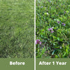 Micro Bee Lawn Seed Mixture - Easy Spread Shaker