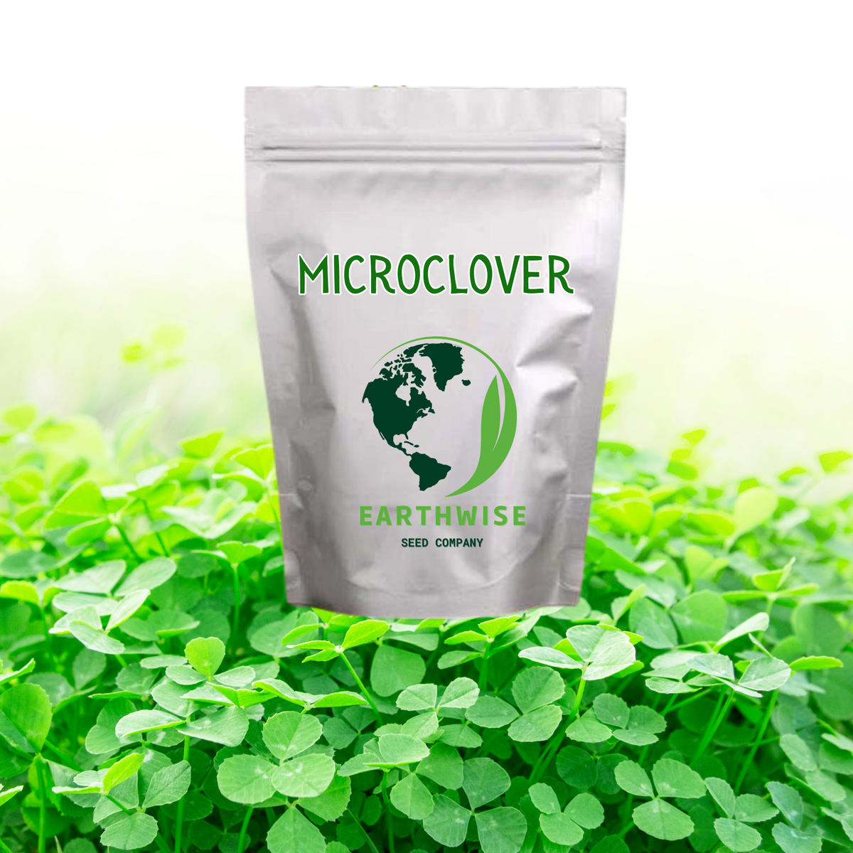 Microclover Alternative Lawn Seed