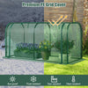 Mini Tunnel Greenhouse with Roll-up Zipper Door