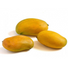 Mango 'Miracle' aka 'Choc-anon' (Mangifera indica)