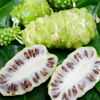 Noni (Morinda citrifolia)