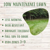 Simple Lawn Fine Fescue Grass Seed – photo 4
