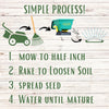 Simple Lawn Fine Fescue Grass Seed – photo 6